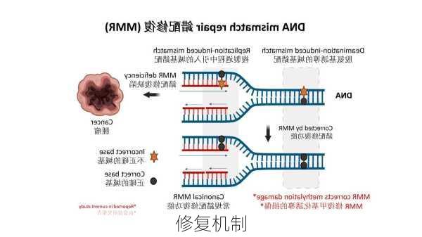 修复机制