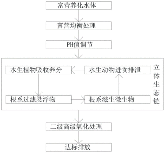 水生植物修复富营养化水体的机制