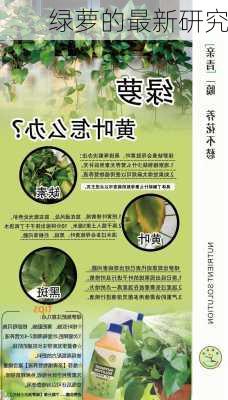 绿萝的最新研究