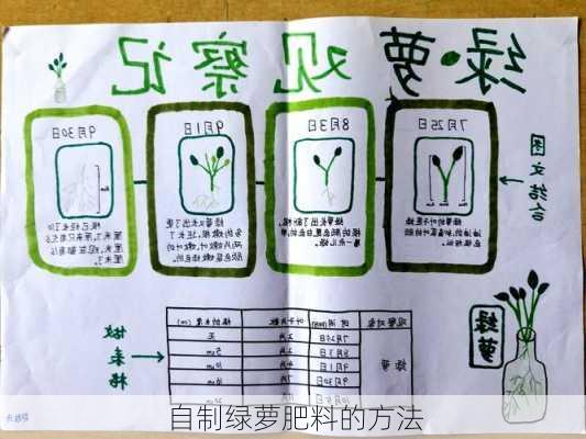 自制绿萝肥料的方法