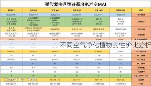 不同空气净化植物的性价比分析