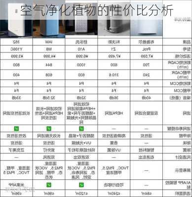 空气净化植物的性价比分析