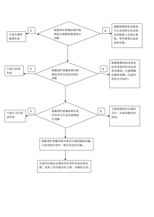 空气净化植物的日常护理流程