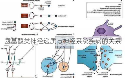 氨基酸类神经递质与神经系统疾病的关系