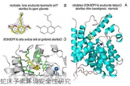 蛇床子素环境安全性研究