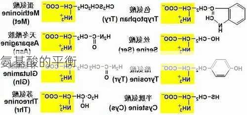 氨基酸的平衡