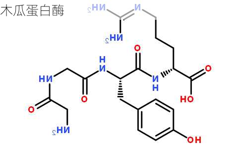 木瓜蛋白酶