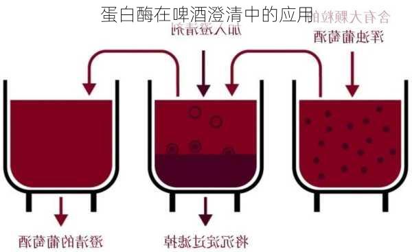 蛋白酶在啤酒澄清中的应用