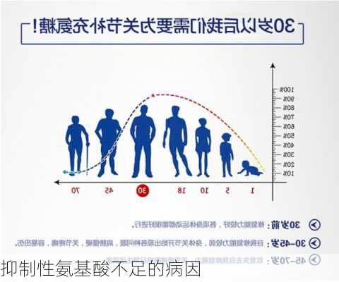 抑制性氨基酸不足的病因