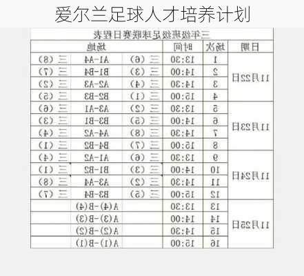 爱尔兰足球人才培养计划