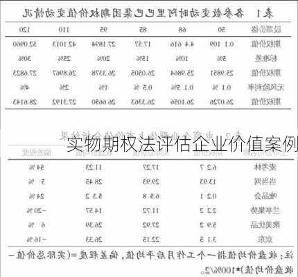 实物期权法评估企业价值案例