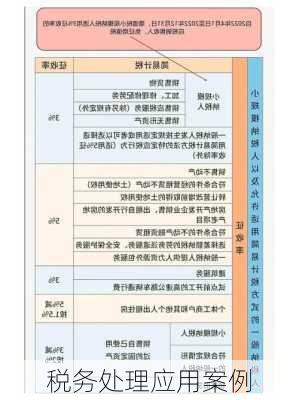 税务处理应用案例