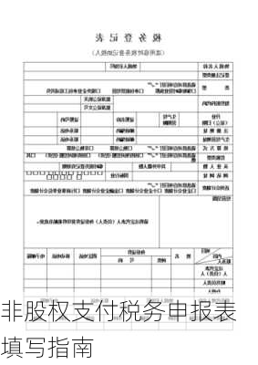 非股权支付税务申报表填写指南