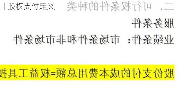 非股权支付定义