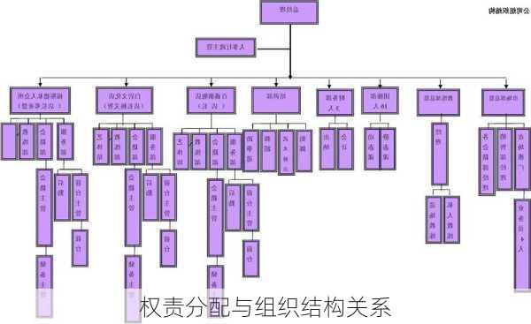 权责分配与组织结构关系