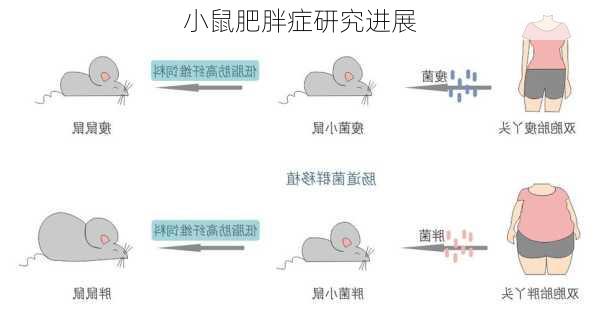 小鼠肥胖症研究进展