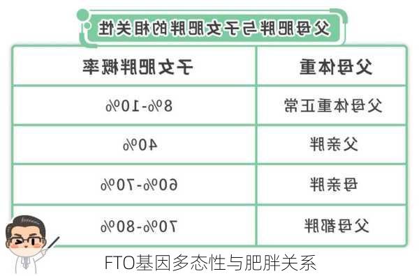 FTO基因多态性与肥胖关系