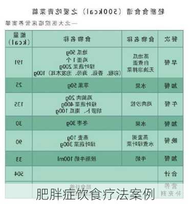 肥胖症饮食疗法案例