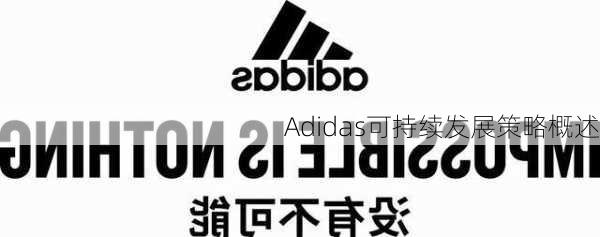 Adidas可持续发展策略概述