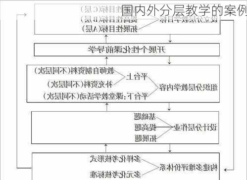 国内外分层教学的案例