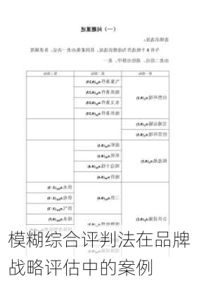 模糊综合评判法在品牌战略评估中的案例