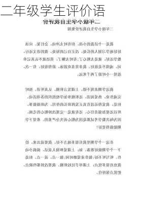 二年级学生评价语