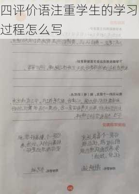 四评价语注重学生的学习过程怎么写