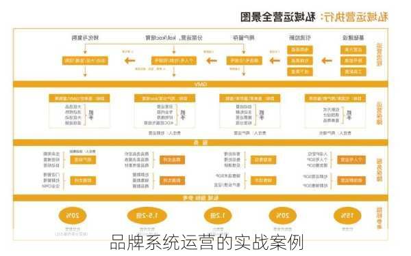 品牌系统运营的实战案例