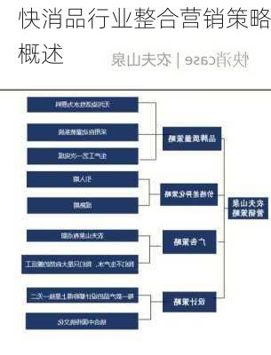 快消品行业整合营销策略概述