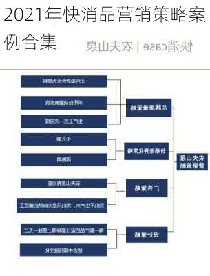 2021年快消品营销策略案例合集