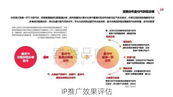 IP推广效果评估