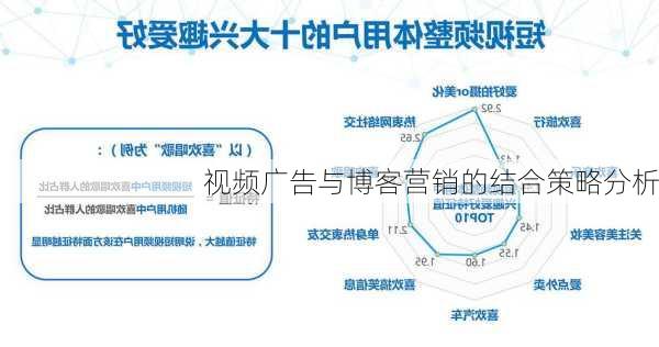 视频广告与博客营销的结合策略分析