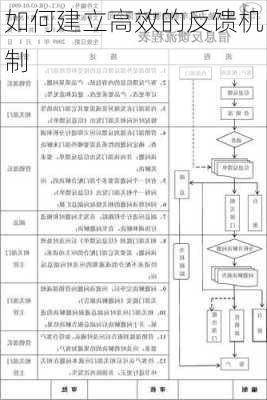 如何建立高效的反馈机制