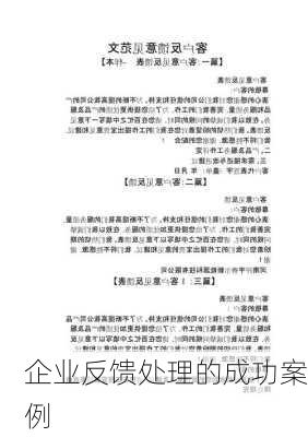 企业反馈处理的成功案例