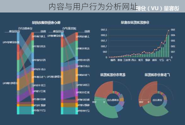 内容与用户行为分析网址