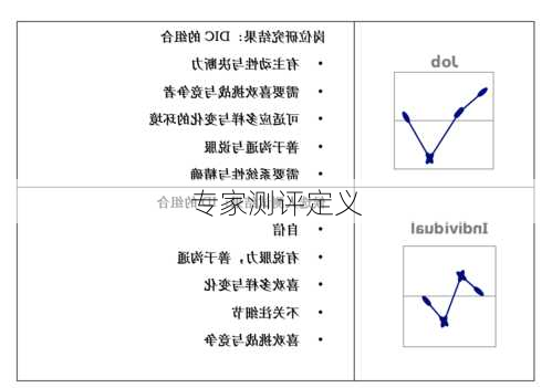 专家测评定义