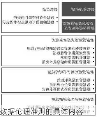 数据伦理准则的具体内容