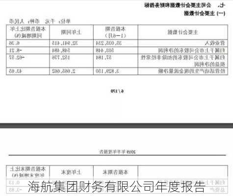 海航集团财务有限公司年度报告