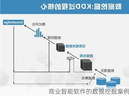 商业智能软件的数据挖掘案例