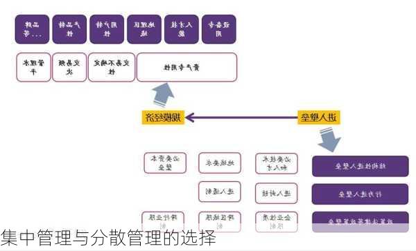 集中管理与分散管理的选择