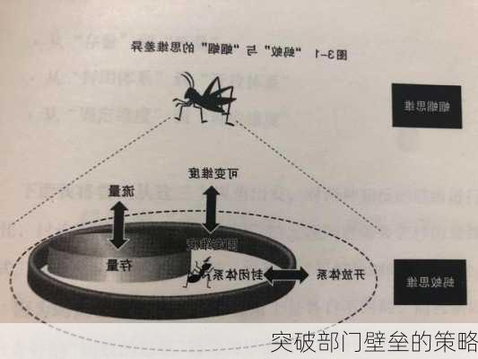 突破部门壁垒的策略