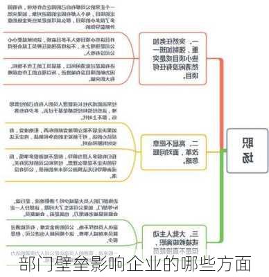 部门壁垒影响企业的哪些方面