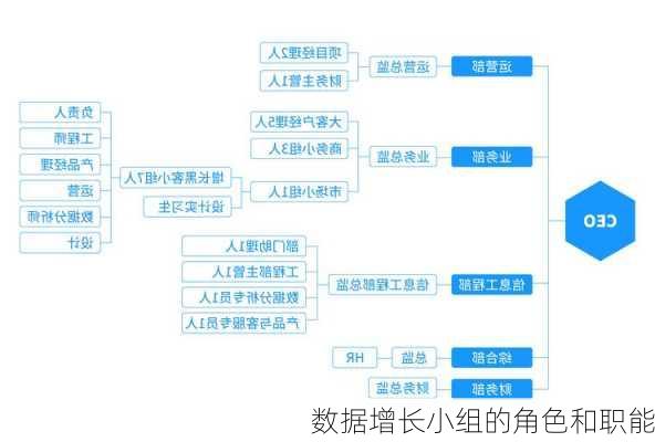 数据增长小组的角色和职能