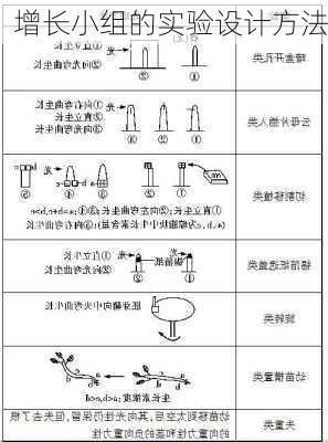 增长小组的实验设计方法