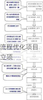 流程优化项目立项