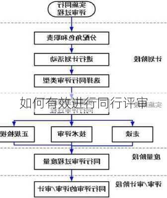 如何有效进行同行评审