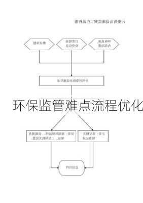 环保监管难点流程优化