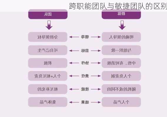 跨职能团队与敏捷团队的区别