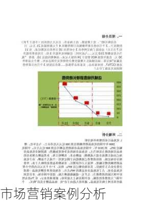 市场营销案例分析