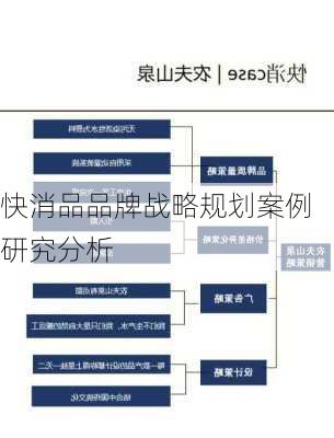 快消品品牌战略规划案例研究分析